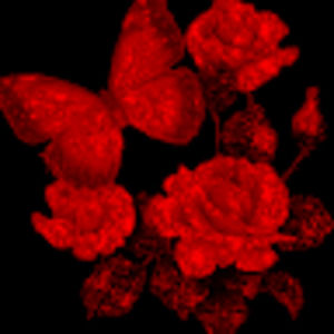 Meet your Posher, Natasa